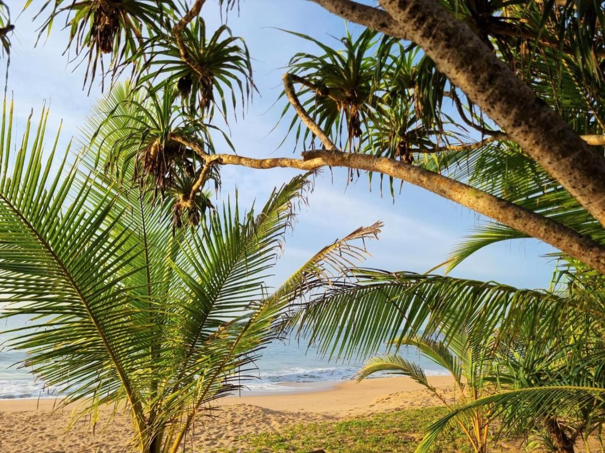 Golden Beach Paradise タンガラ エクステリア 写真