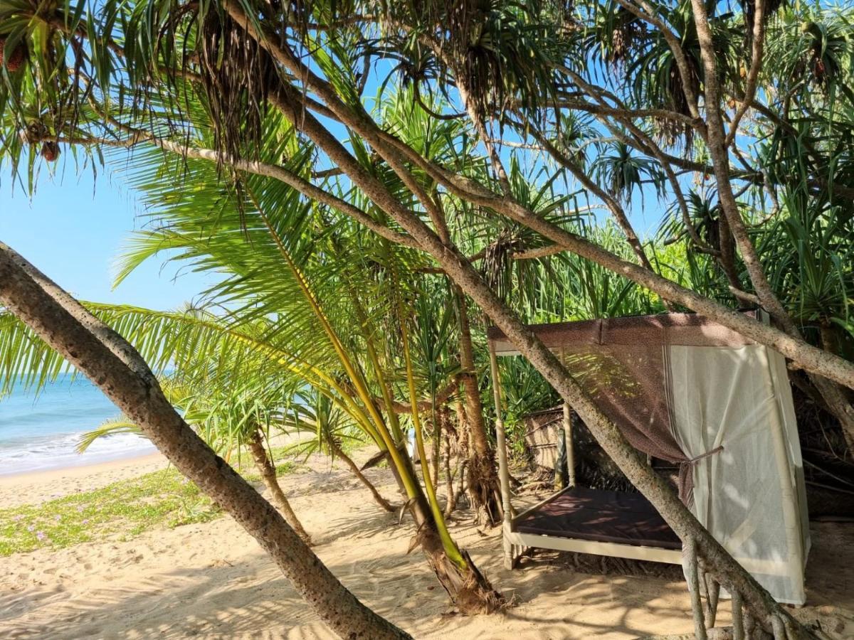 Golden Beach Paradise タンガラ エクステリア 写真