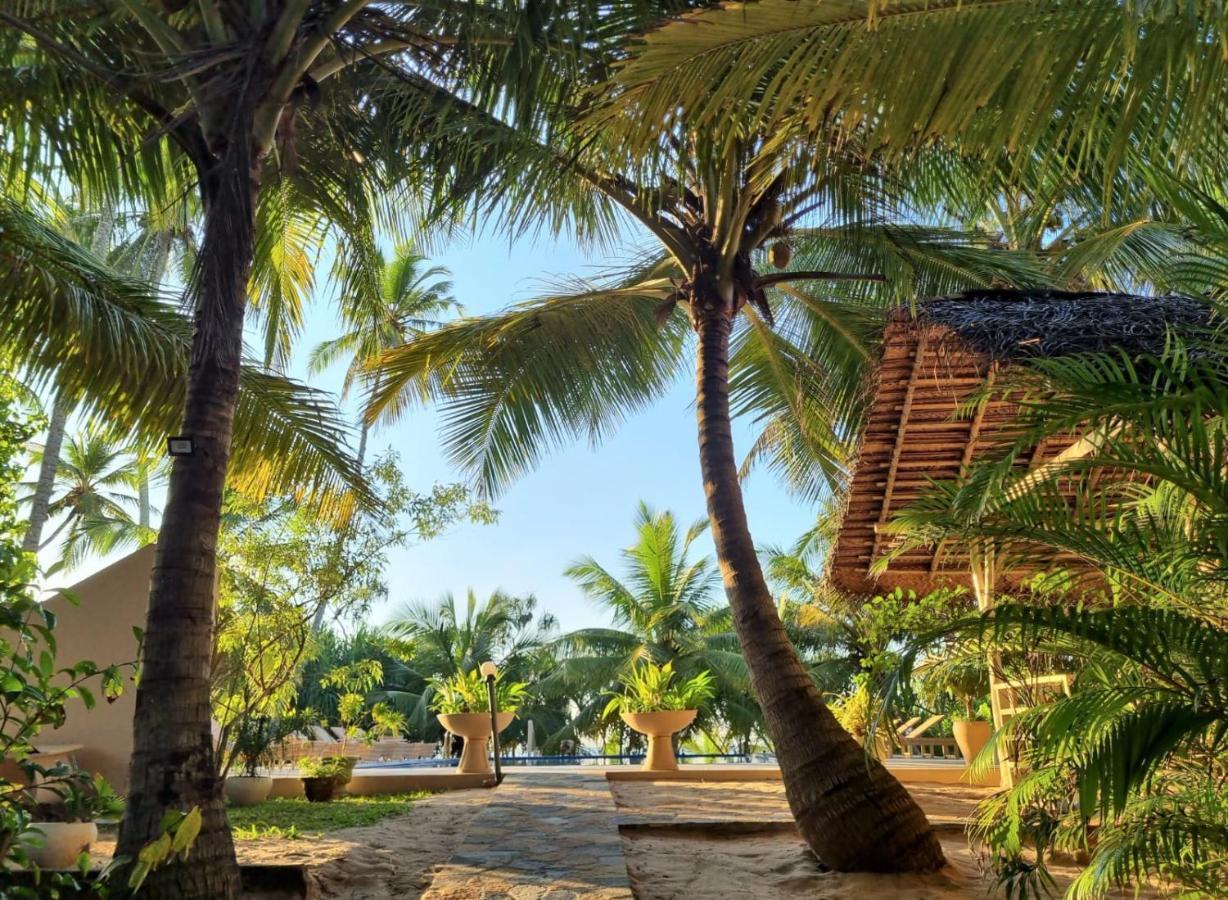 Golden Beach Paradise タンガラ エクステリア 写真